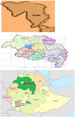 Prevalence and associated factors of diarrhea among under-five children in the Jawi district, Awi Zone Ethiopia, 2019. Community based comparative cross-sectional study